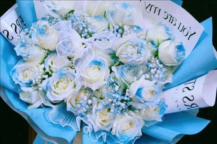 �ٷں鶴�ػ���